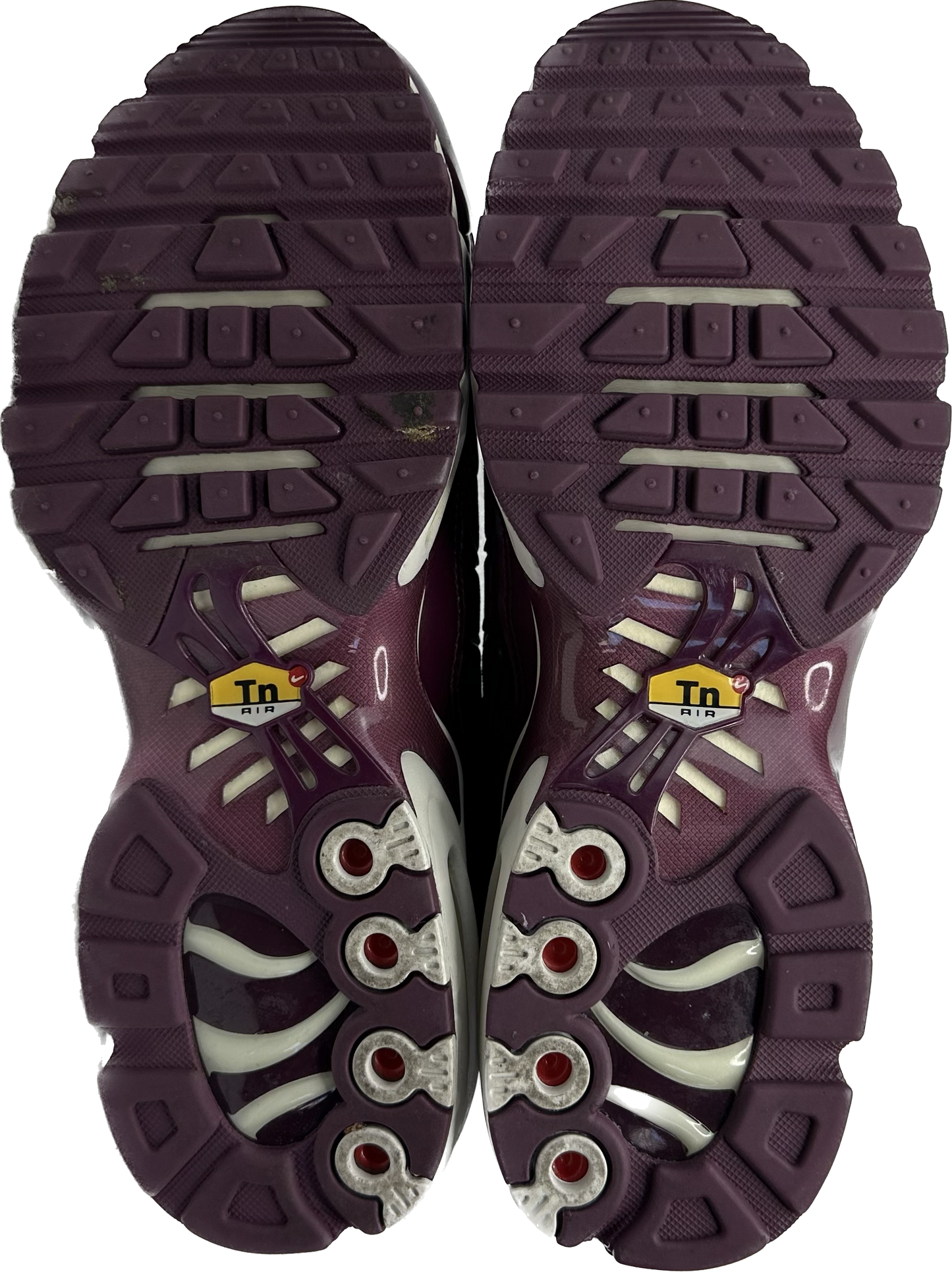 Nike Air Max Plus "Bordeux" (US8.5 Women's)