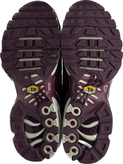 Nike Air Max Plus "Bordeux" (US8.5 Women's)