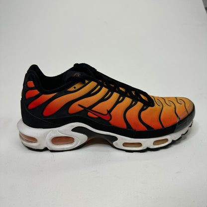 Nike Air Max Plus 'Tiger' (US10)