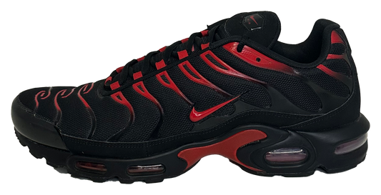 Air Max Plus "Hates" (US14)