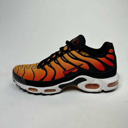 Nike Air Max Plus 'Tiger' (US10)