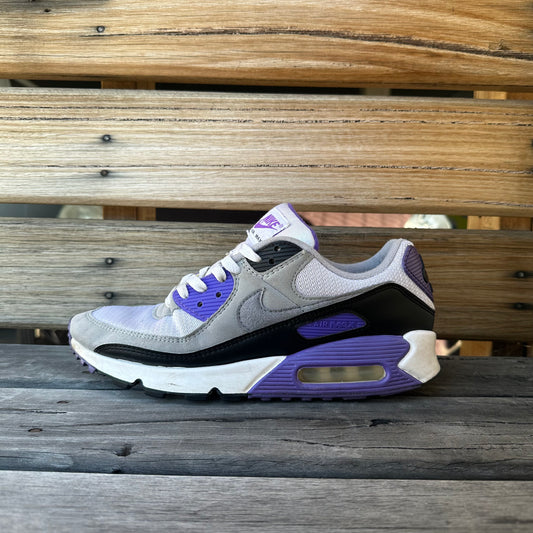 Nike Air Max 90 'Grape' (US9)