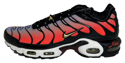 Air Max Plus "Sisterhood" New (US12 Women's)