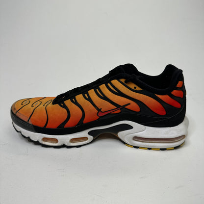 Nike Air Max Plus 'Tiger' (US10)