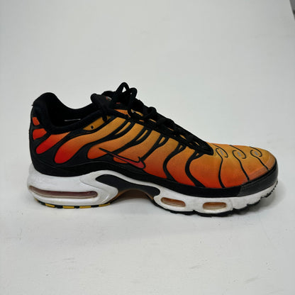 Nike Air Max Plus 'Tiger' (US10)