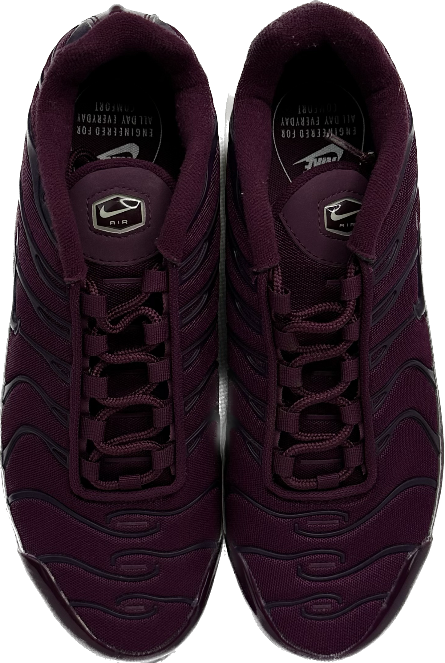 Nike Air Max Plus "Bordeux" (US8.5 Women's)