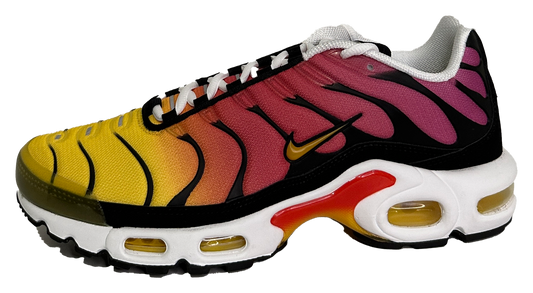 Air Max Plus "Raspberry Rainbow" New (US8)